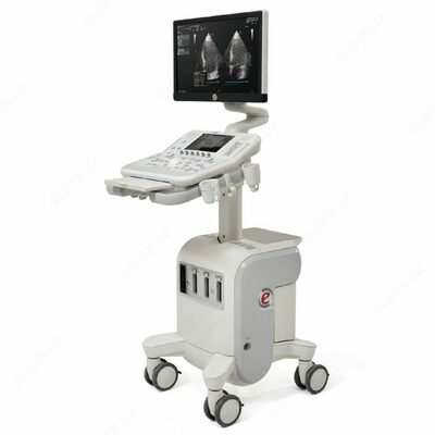 Ультразвуковой аппарат MyLab X7