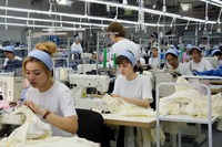   Одежда Мерч