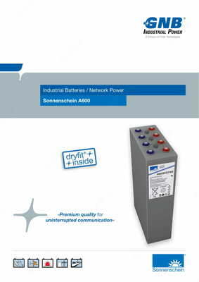 Sonnenschein A600 qayta zaryadlanuvchi batareyalar