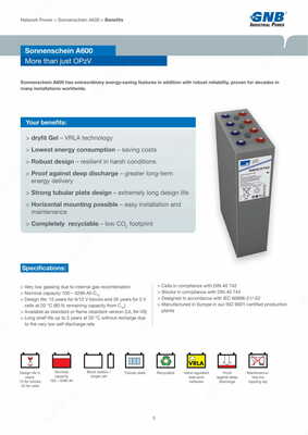 Sonnenschein A600 qayta zaryadlanuvchi batareyalar