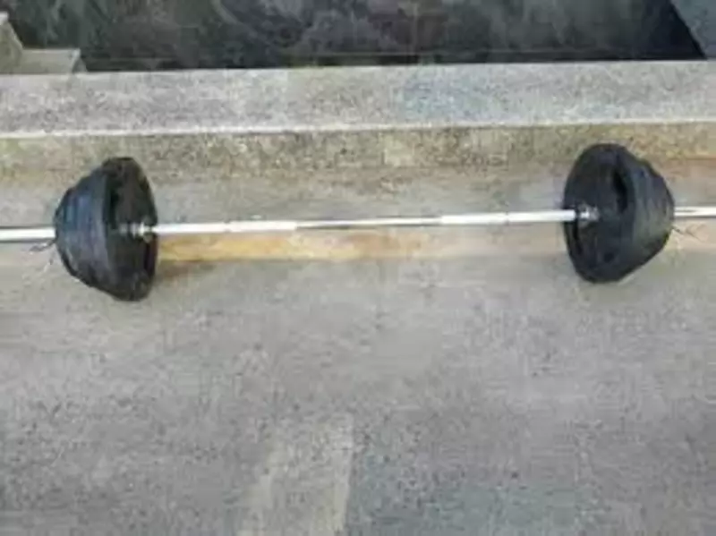  Блины для штанги (7М) - 