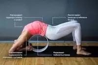  Колесо АСАНА - универсальный снаряд для йоги - 