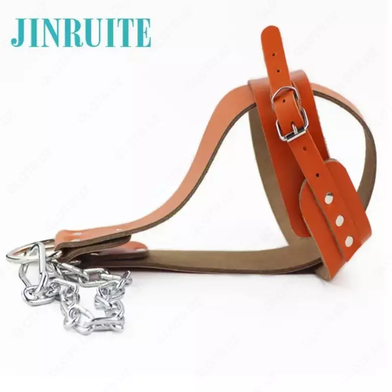 Boyin va bosh mashqlari uchun bardoshli tasma