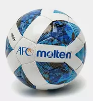 Мяч для футзала и футбола Molten (размеры 4 и 5) Оптом и розница