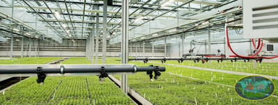 Саморегулирующаяся теплица