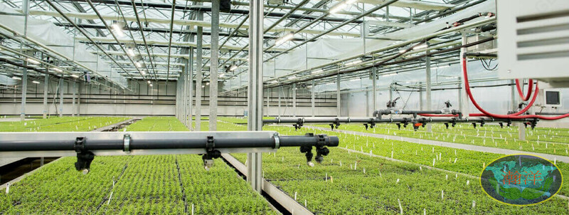 Саморегулирующаяся теплица