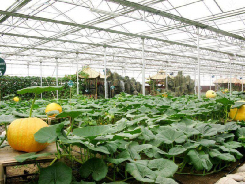 Agroturizm issiqxonasi - {0} so'mdan