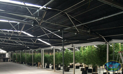 Теплицы со световой депривацией