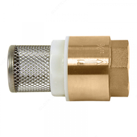 Filtrli 1 1/4 dyuymli valfni tekshiring - 81 719 so'm