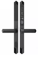 Умный электронный замок 010