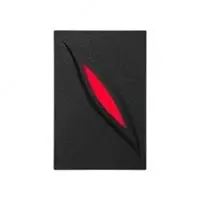 Считыватель карт ZKTeco KR310 (EM-Marine + Mifare)