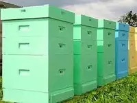 по запросу ПОЛИУРЕТАНОВАЯ СИСТЕМА ДЛЯ ПЧЕЛИНЫХ УЛЬЕВ (СЫРЬЕ)