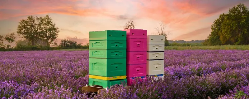 по запросу Полиуретан для пчелиных улей