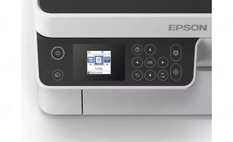 черно-белый) - по запросу