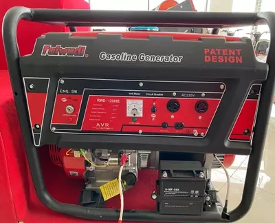 RWD 1200E elektr generatori - 10 959 389.6 so'm / dona