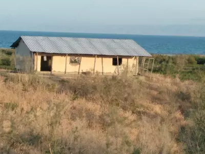 2 382 476 000 сум Зона отдыха «Айдаркуль»