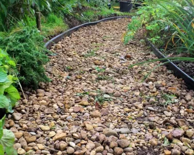 Elangan mayda shag‘al (otsevkа)