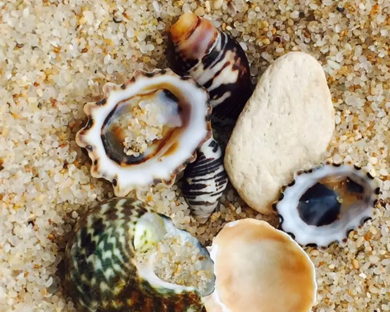 Морской песок (месторождения Нурата)