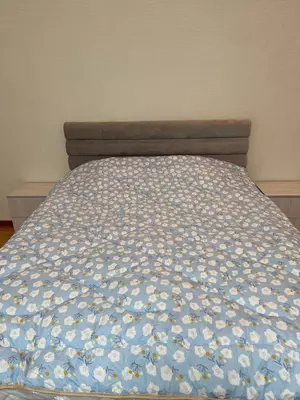 Одеяло: внутри рулон холофайбер 80-190 - 150 000 сум / шт.