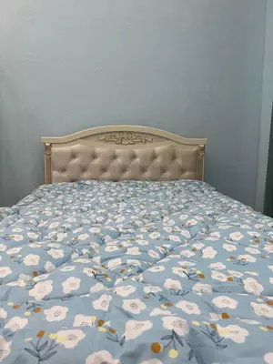 To'shak: 160-190 - 150 000 so'm / dona