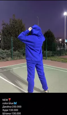 Двойка женская (худи+штаны) №4