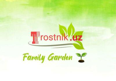 Family Garden