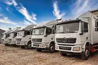 Грузовой автомобиль SHACMAN 18 тонн (9 м)