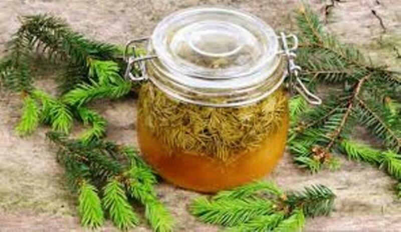 immunitetni oshiradi Shveytsariya Nahrin