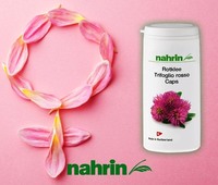 Kapsulalar Red Clover menopozda Shveytsariya Nahrin