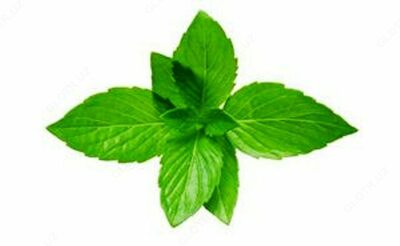 Крем «Окопник» Swiss Nahrin, Швейцария