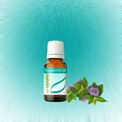 Shveytsariya - 251 100 so'm / dona279 000 so'm / dona