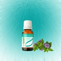 Shveytsariya - 251 100 so'm