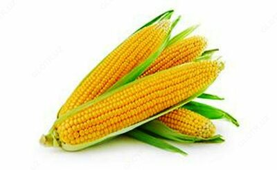 Гель для кожи вокруг глаз Swiss Nahrin, Швейцария Гель для кожи вокруг глаз Swiss Nahrin, Швейцария