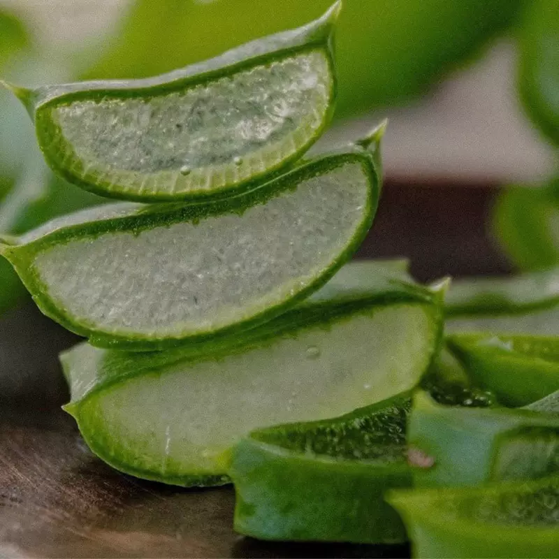 Сок Виви Алоэ для ЖКТ Swiss Nahrin