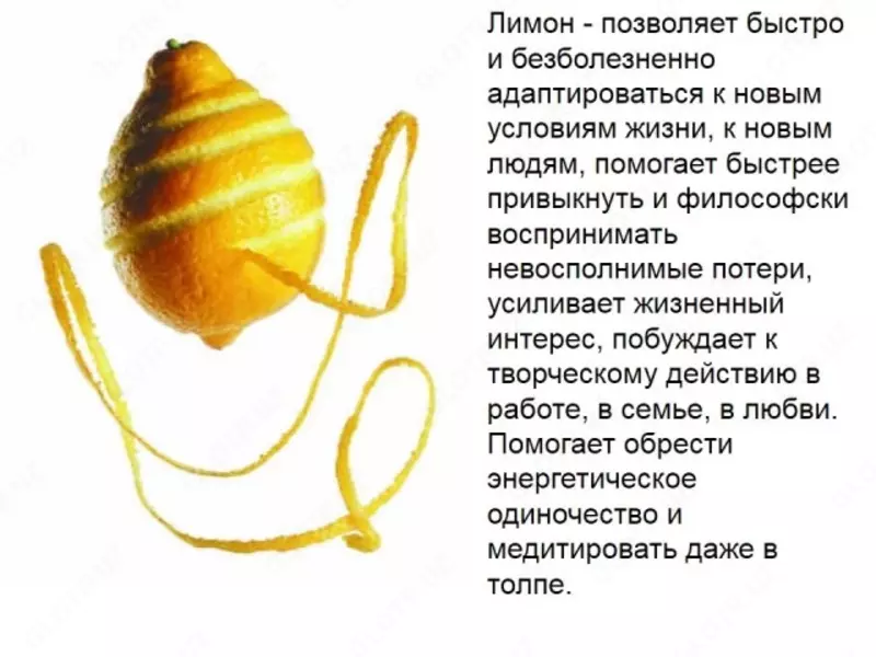  Эфирное масло Лимон Swiss Nahrin (15 мл) Швейцария  - Swiss Nahrin Швейцария