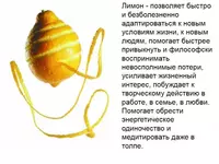  Эфирное масло Лимон Swiss Nahrin (15 мл) Швейцария  - Swiss Nahrin Швейцария