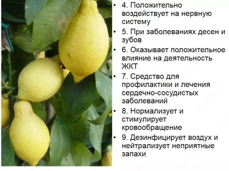   Эфирное масло Лимон Swiss Nahrin (15 мл) Швейцария