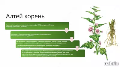 Швейцарские леденцы для горла "Swissycandy" Swiss Nahrin, Швейцария