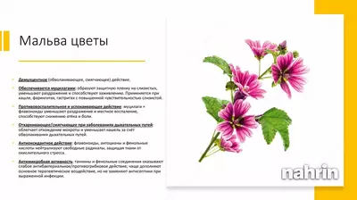 Швейцарские леденцы для горла "Swissycandy" Swiss Nahrin, Швейцария