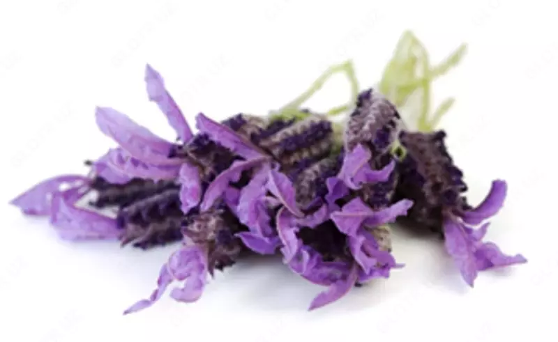  Ароматическое масло Лаванда Swiss Nahrin  Швейцария - 