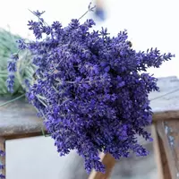  Ароматическое масло Лаванда Swiss Nahrin  Швейцария Только в розницу