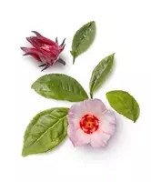  Swiss Nahrin Швейцария - Гиалуроновый комплекс  капсулы Swiss Nahrin  Швейцария