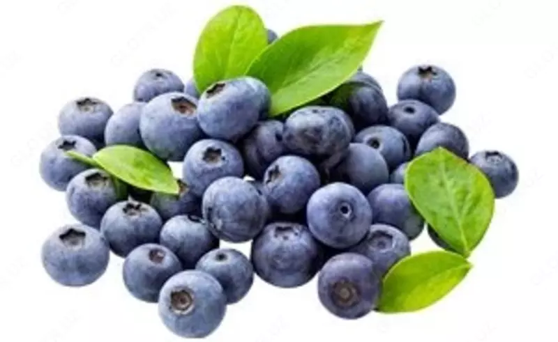  Наросан Черника Swiss Nahrin  Швейцария Swiss Nahrin Швейцария