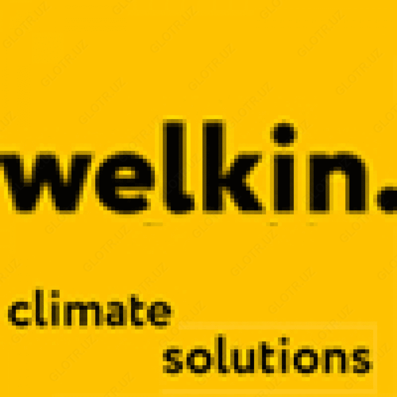 Чайник Welkin Vertex