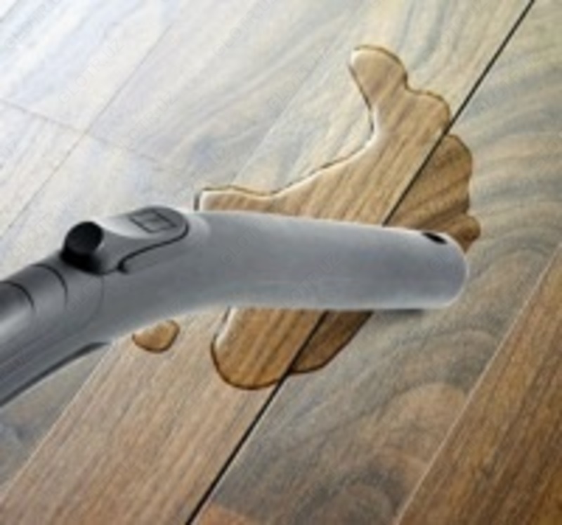 Пылесос Thomas Dry box and Aquabox