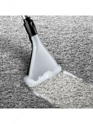 Пылесос BOSCH BWD421PET