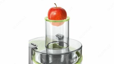 Соковыжималка Bosch MES25G0