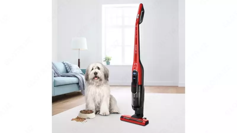 Bosch BCH86PET1 changyutgichi