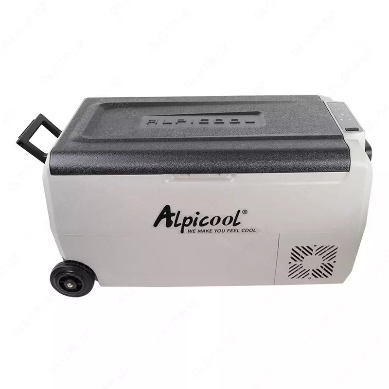 avtomobil muzlatgichi Alpicool T36 (36L). Ikki kamerali