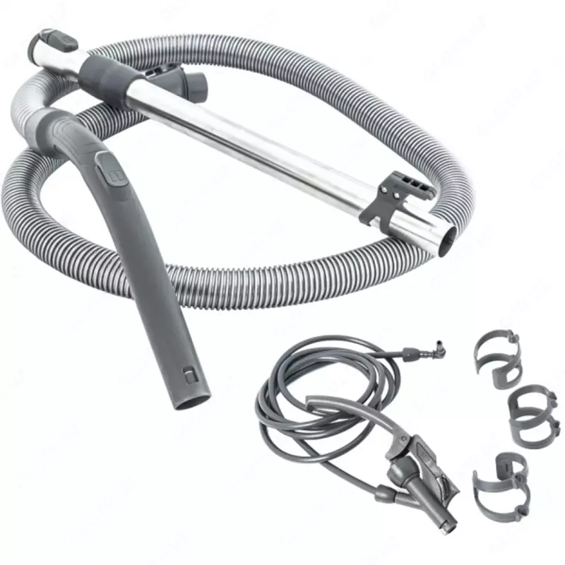 Thomas DryBox Amfibia